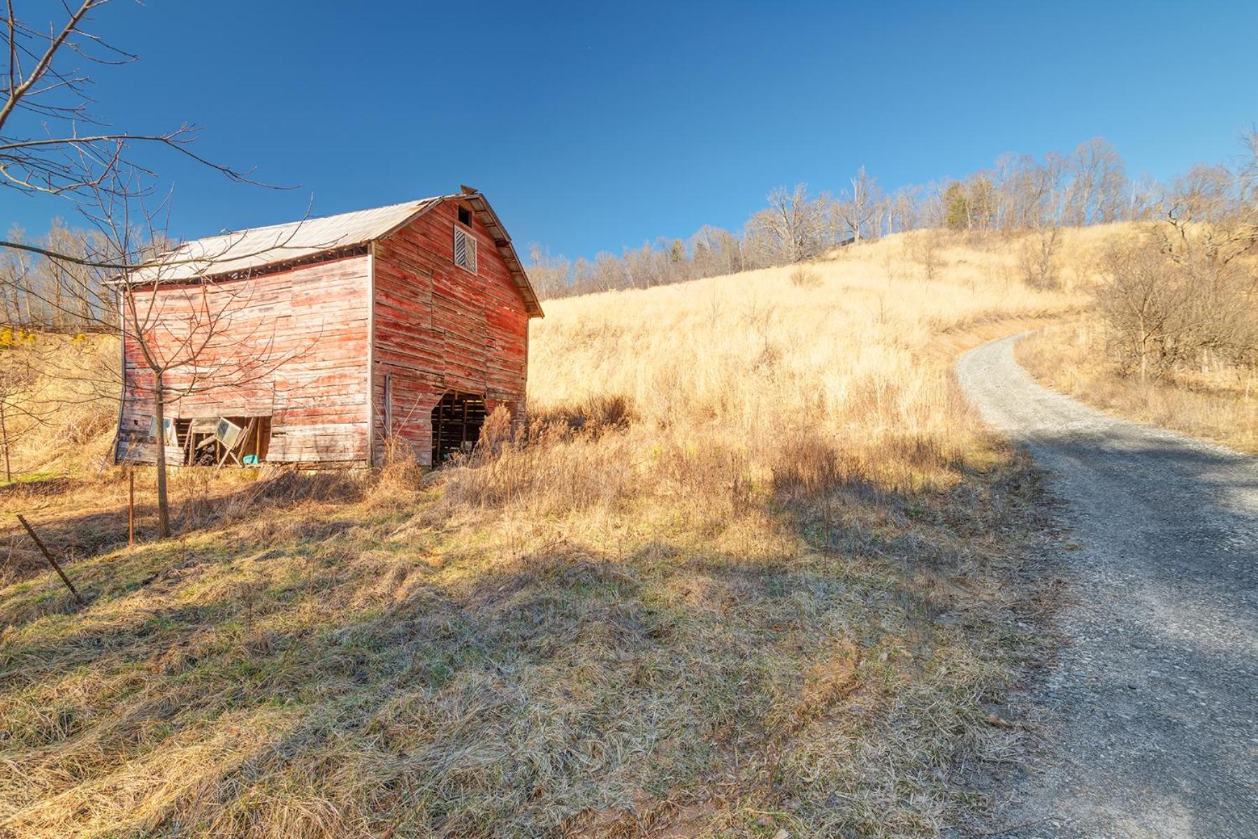 Vila Morgan Branch Cabin In Marshall Exteriér fotografie